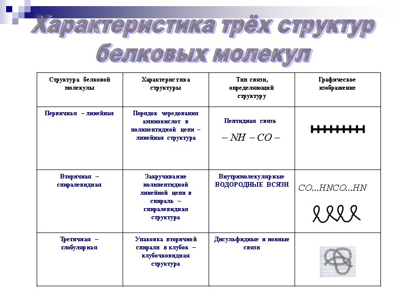 Характеристика трёх структур белковых молекул Пептидная связь